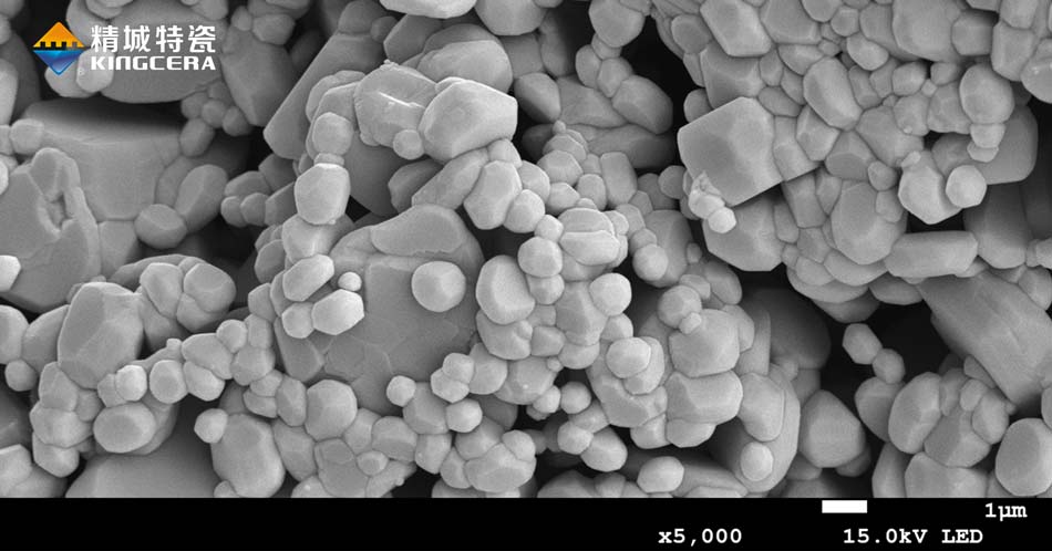 Z6尊龙·凯时(中国)人生就是搏！