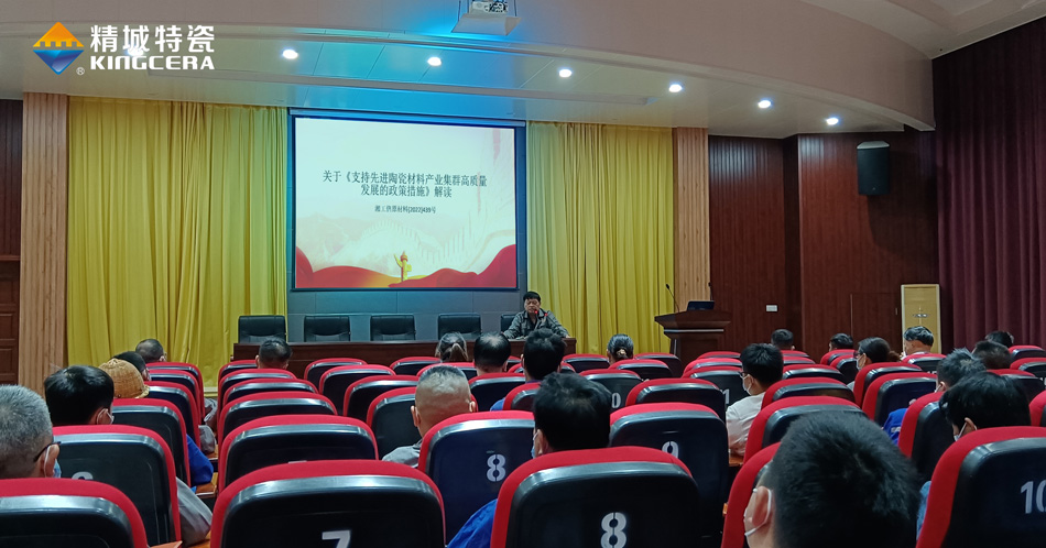 Z6尊龙组织学习《支持先进陶瓷质料工业集群高质量生长的政策步伐》