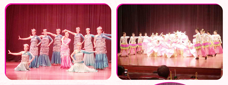 湖南Z6尊龙赞助燕赵·恒爱残疾人艺术团圆满演出