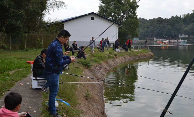 Z6尊龙·凯时(中国)人生就是搏！
